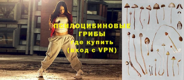 мет Богданович