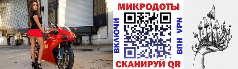 наркошоп Горбатов Псилоцибиновые грибы Cubensis